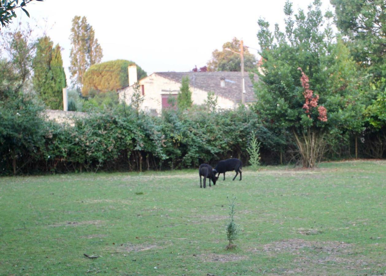 Le Clos Du Gorion Hotel Saint-Sulpice-et-Cameyrac Esterno foto