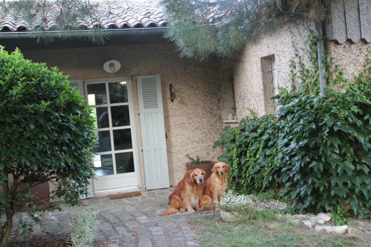 Le Clos Du Gorion Hotel Saint-Sulpice-et-Cameyrac Esterno foto